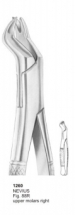  NEVIUS Fig. 88R upper molars right 